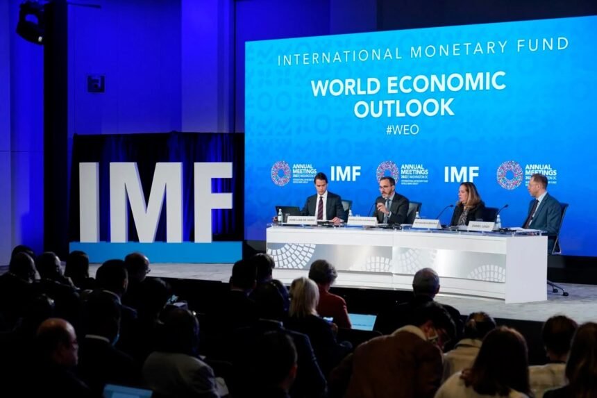 Nigeria’s economic outlook faces political risks as IMF and experts warn of policy uncertainty